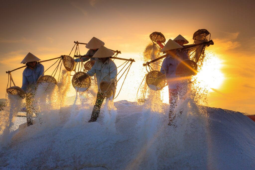 Viet Nam amid a Slowing Global Economy: Growth and Challenges