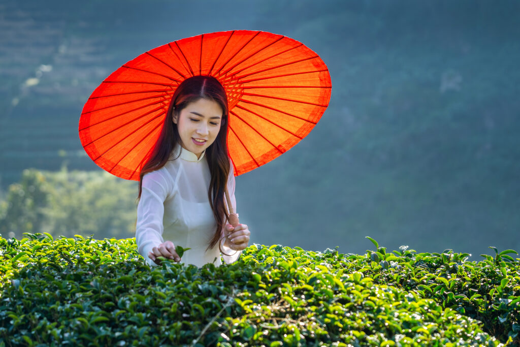Vietnam’s Economy in May 2026: Strong Growth in a Phase of Capital Quality Testing