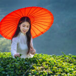 Kinh tế Việt Nam tháng 5/2026: Tăng trưởng mạnh trong giai đoạn kiểm định chất lượng vốn